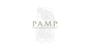 Rafinérie PAMP