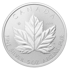 5 Oz stříbrná investiční mince | Maple Leaf - 2026