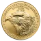 American Eagle a Buffalo
