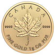 25x1g  zlatá investiční mince | Maple Leaf - 2026